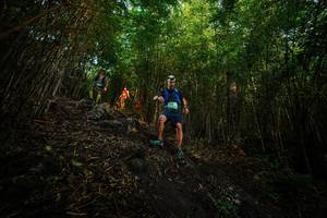 BIB: 
                            <button type="button" onclick="openModal(25100458)" class="btn btn-primary btn-sm float-right btn-popup" data-toggle="modal" data-target=".modal-high-quality">
                        <i class="fas fa-shopping-cart"></i> Add to Cart
                    </button>
                                            <button type="button" onclick="isThisMe(25100458, true)" class="btn btn-success btn-sm float-right btn-popup btn-isme hidden" data-toggle="tooltip" data-placement="bottom" title="นี่คือรูปของคุณใช่ไหม คลิกที่นี่เพื่อเอาเข้าอัลบั้ม">
                        <i class="fas fa-plus"></i> Add to album
                    </button>
                    <button type="button" onclick="isThisMe(25100458, false)" class="btn btn-warning btn-sm float-right btn-popup btn-isnotme hidden">
                        <i class="fas fa-ban"></i> Remove from album
                    </button>